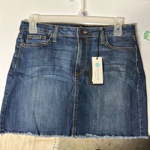 Women’s short denim mini skirt